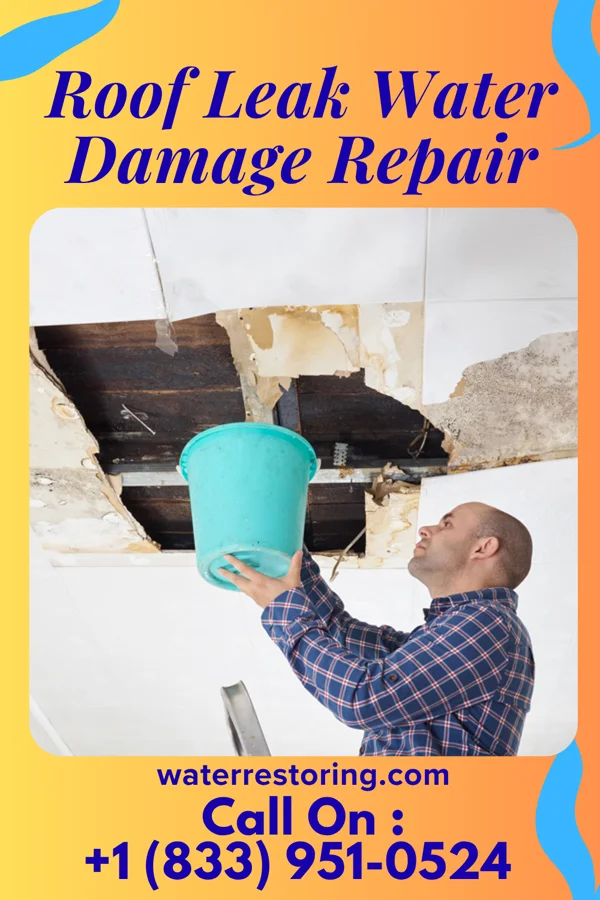 Roof Leak Water Damage Repair in Whitesburg, GA