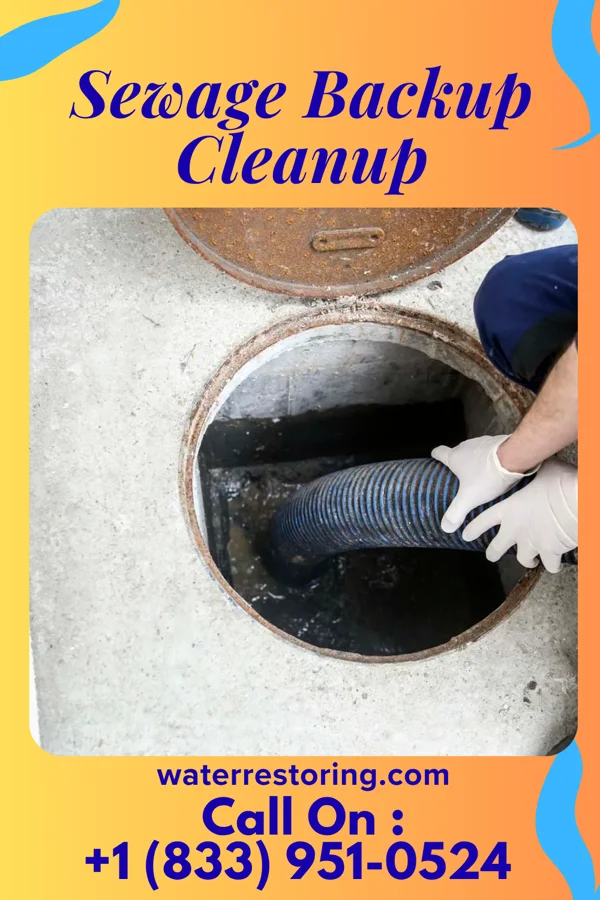 Sewage Backup Cleanup in Whitesburg, GA